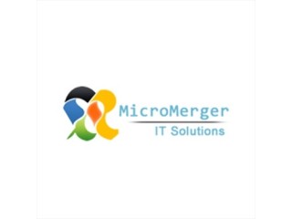 Logo MicroMerger Pvt. Ltd.